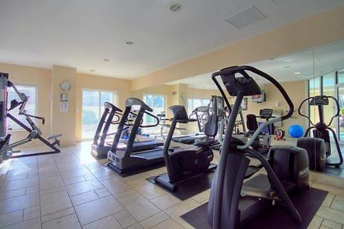 אוטווה Corporate Stays 50 Laurier Splendid Apartments מראה חיצוני תמונה
